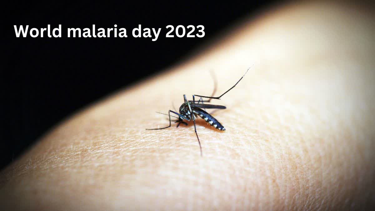 world malaria day 2023