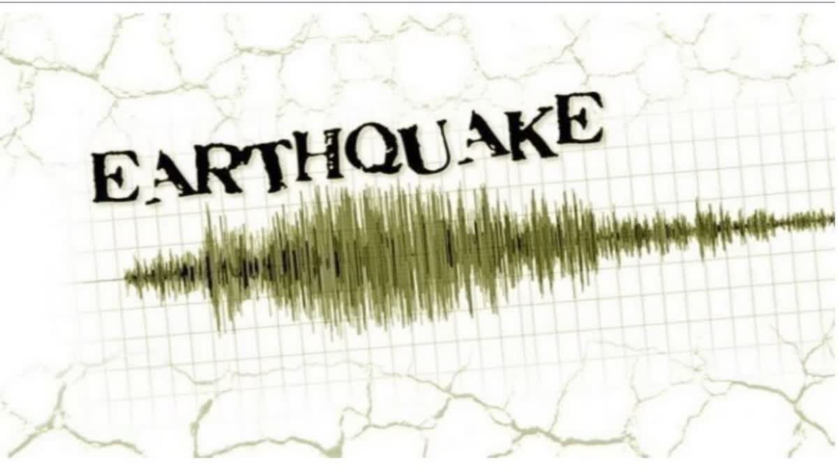 Earthquake In New Zealand