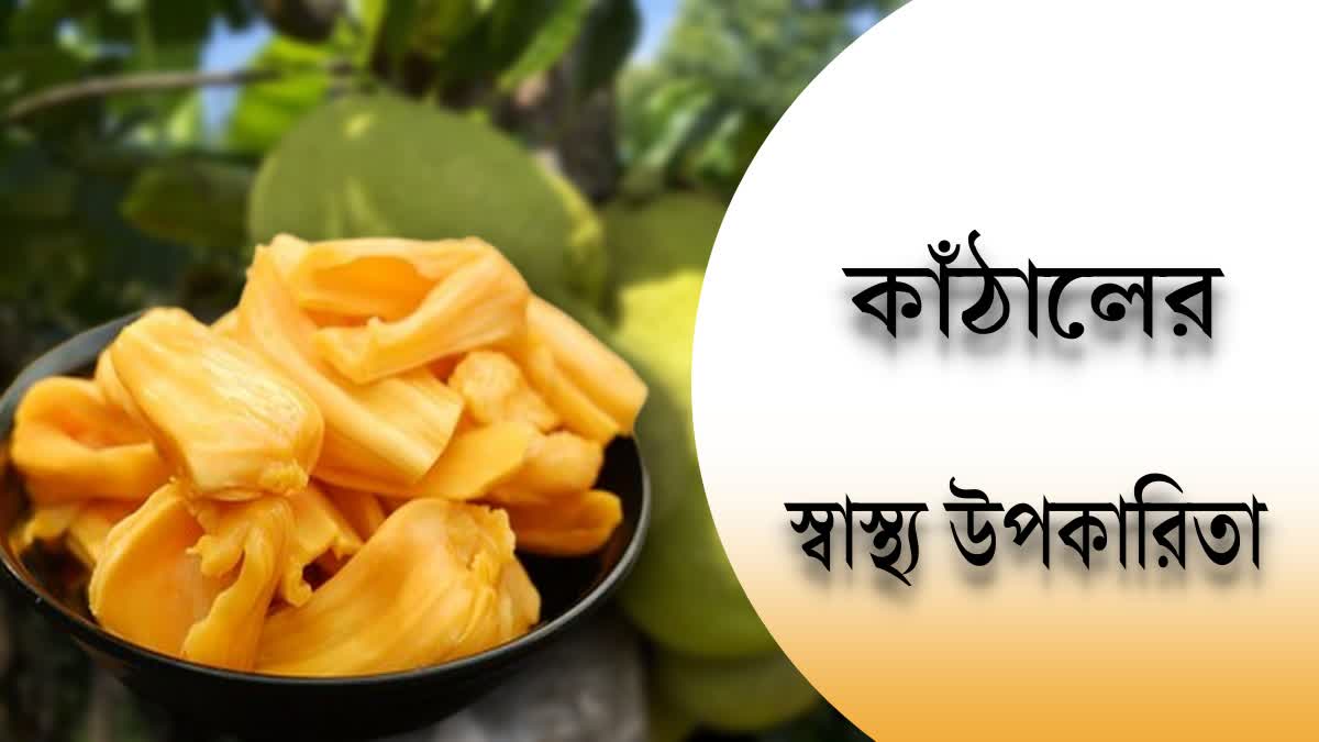 Jackfruit Benefits News