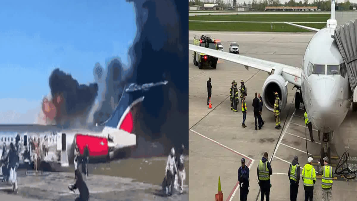Bird collided with plane in America, engine caught fire: The plane kept flying for 20 minutes after take off