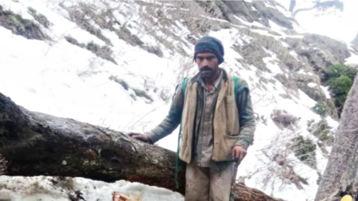 83 goats died due to snow storm in Jalsu Jot in Chamba