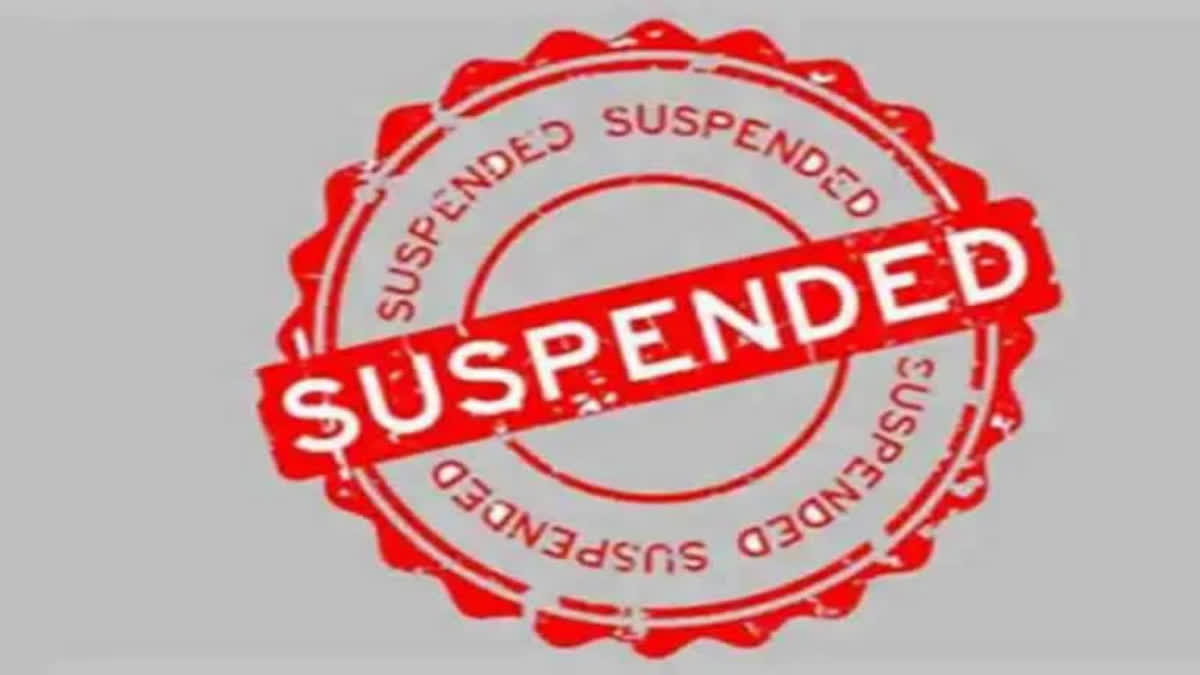 Suspension