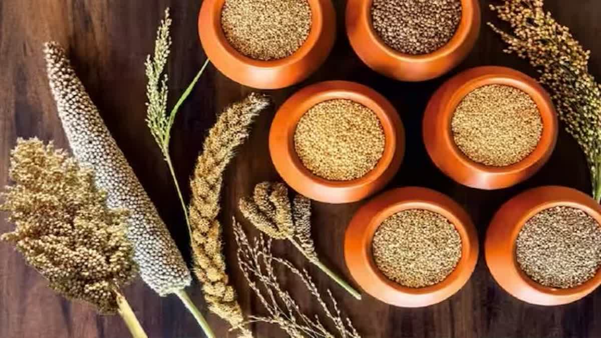 हमीरपुर में कृषि विभाग ने किसानों में बांटे मोटे अनाज के बीज