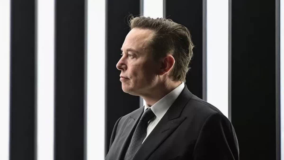Elon Musk Twitter Has 24,700 Subscribers Paying 1.2 Million Per Year