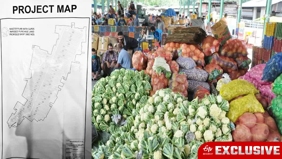 Asia's largest wholesale vegetable market in Singue