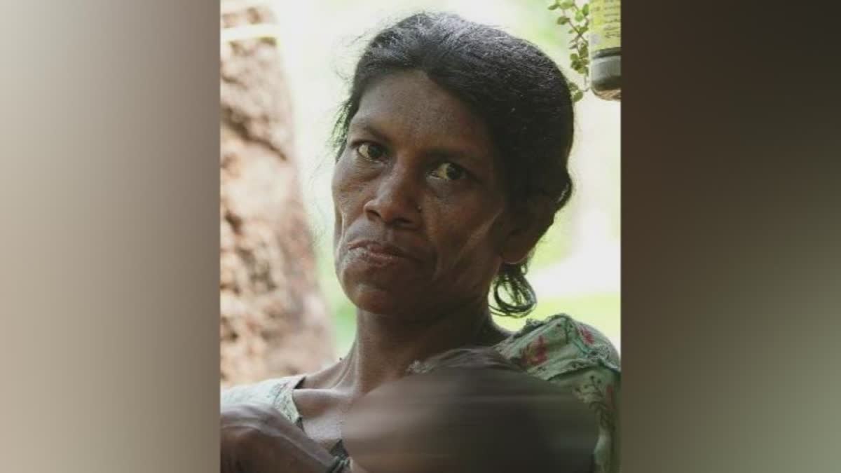 കോഴിക്കോട് കട്ടിപ്പാറ  middle aged tribal woman found dead  tribal woman found dead kozhikode kattippara  kozhikode kattippara  ആദിവാസി സ്‌ത്രീ ഉള്‍വനത്തില്‍ മരിച്ച നിലയില്‍