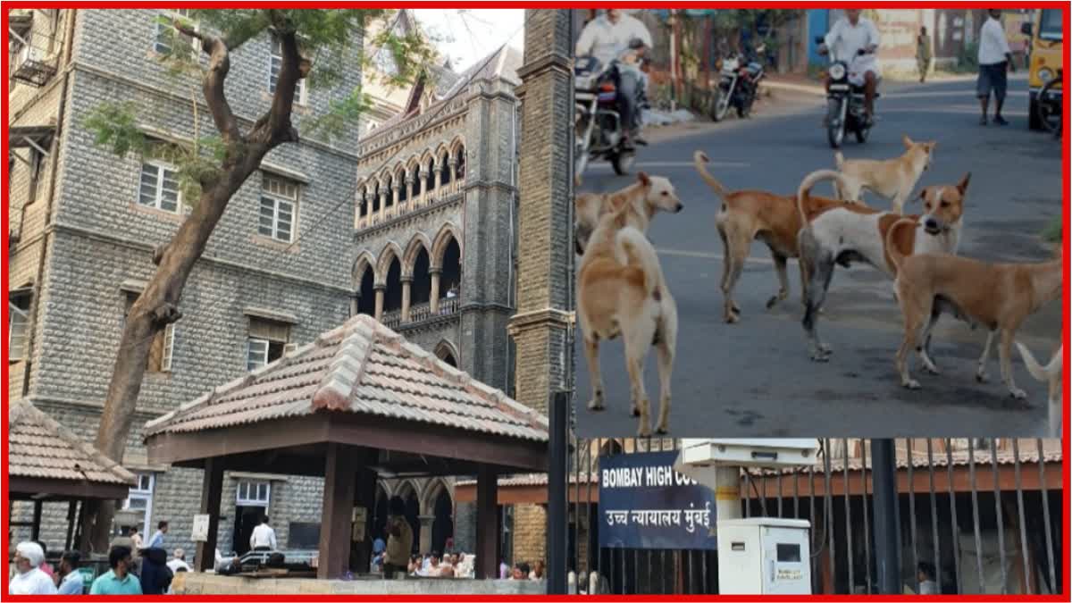 Bombay High Court