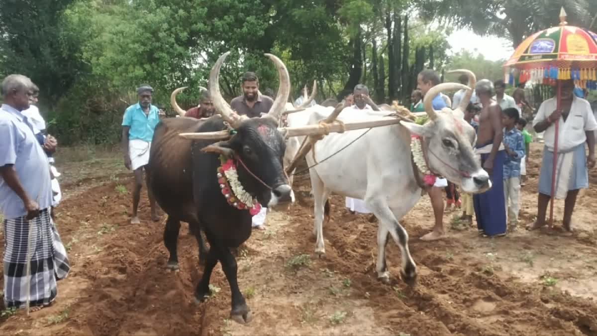 pon aer poottu thiruvizha