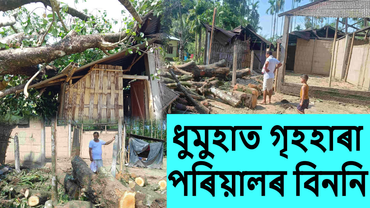 Storm Hits Dhemaji