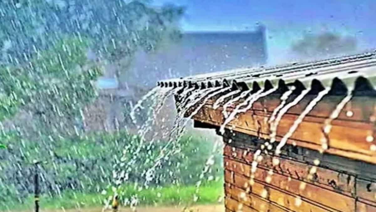 Gujarat Weather Update : ખેડૂતો ધ્યાન આપો, ફરી એકવાર રાજ્યમાં વરસાદની આગાહી