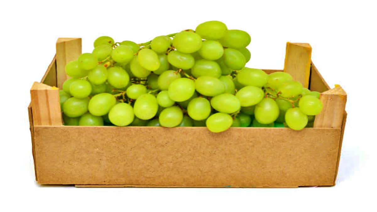 Grape Export