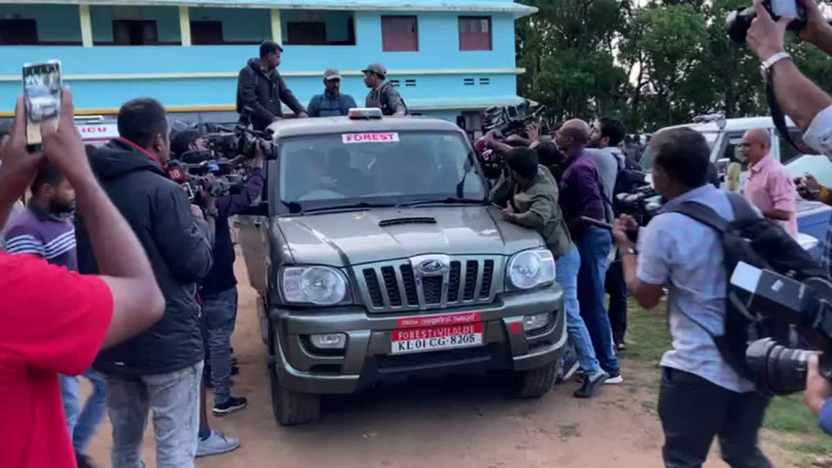 arikomban  mission arikkomban begins  idukki arikkomban  mission arikkomban  mission arikkomban started  അരിക്കൊമ്പൻ  അരിക്കൊമ്പൻ ദൗത്യം  അരിക്കൊമ്പൻ ദൗത്യത്തിന് തുടക്കം  അരിക്കൊമ്പനെ പിടികൂടി  അരിക്കൊമ്പൻ ദൗത്യം ആരംഭിച്ചു  കുങ്കിയാനകൾ അരിക്കൊമ്പൻ