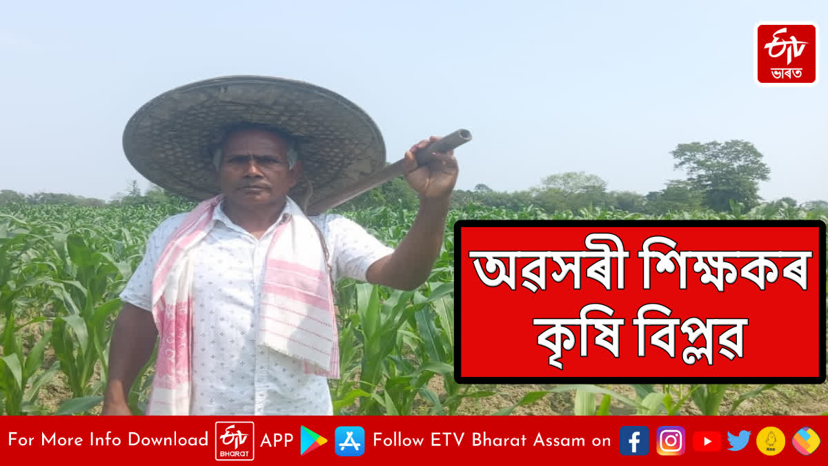 Agriculture revolution of retired teachers in Lakhimpur