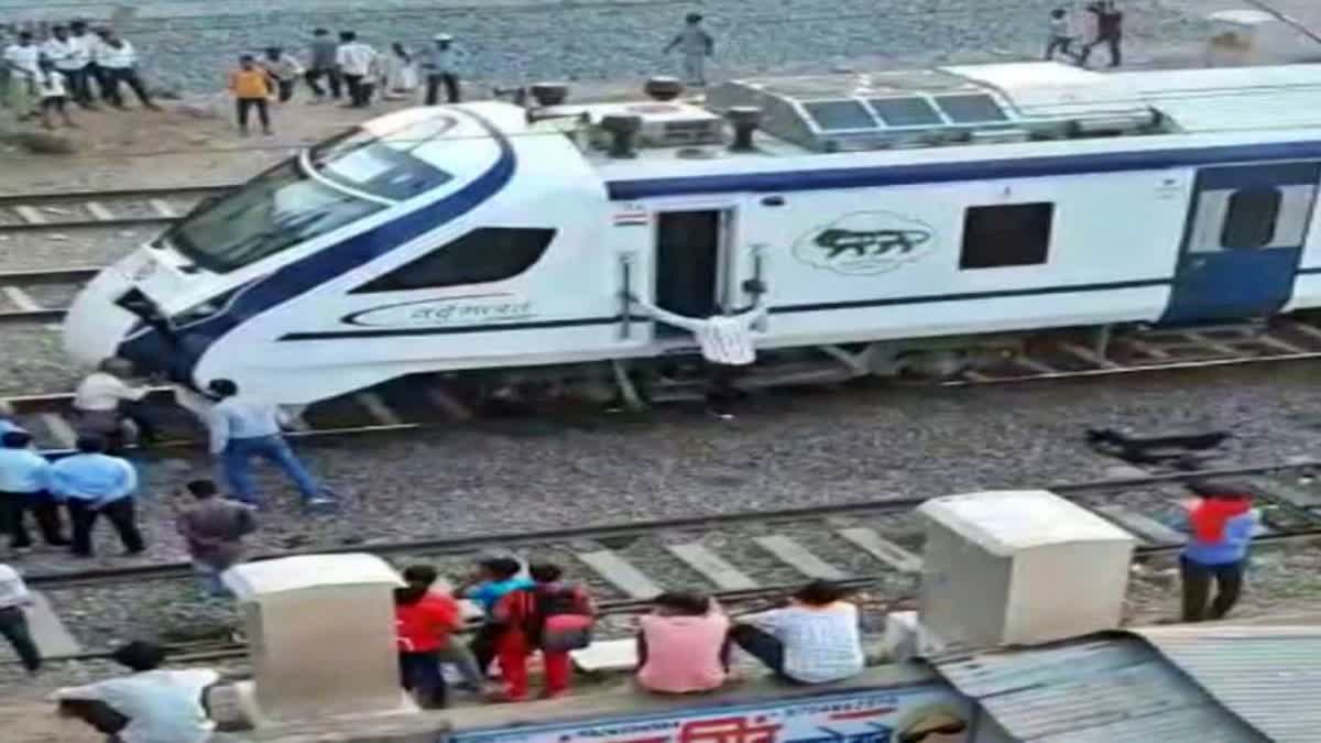 cow collided with vande bharat train in gwalior