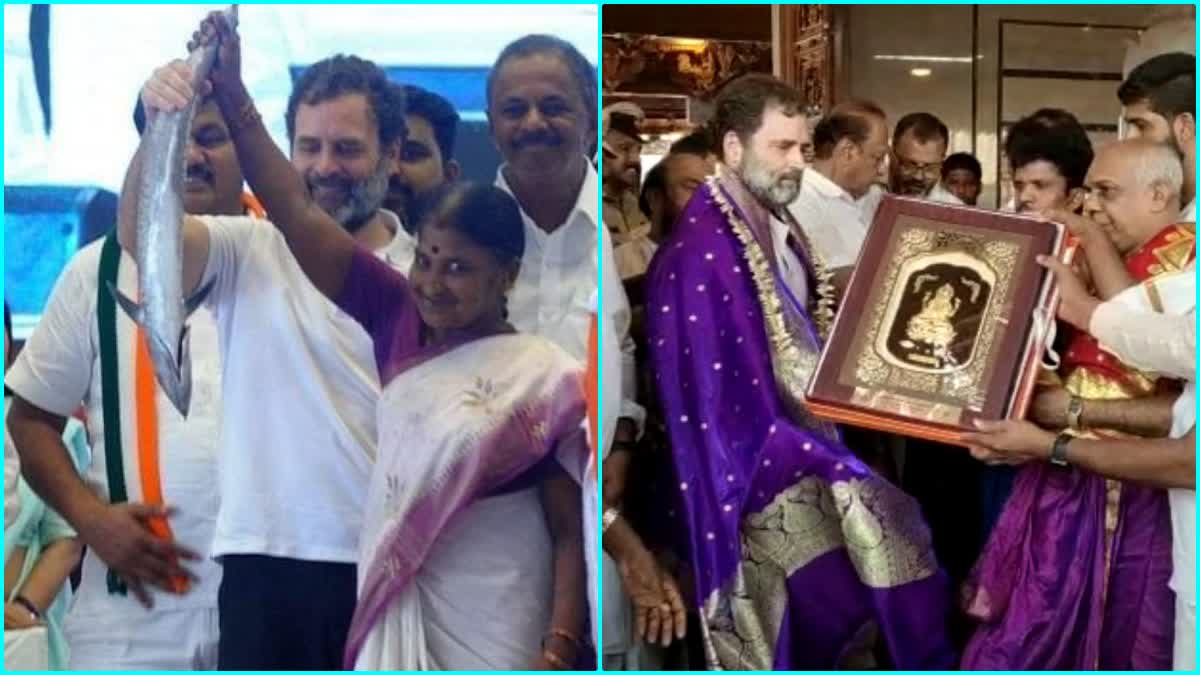 Anjal fish gifted to Rahul Gandhi