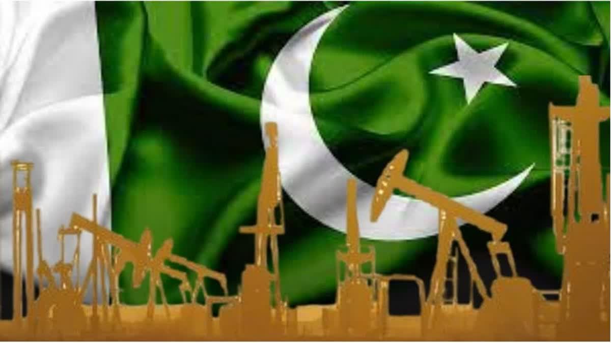 US not against Pakistan-Russia oil deal