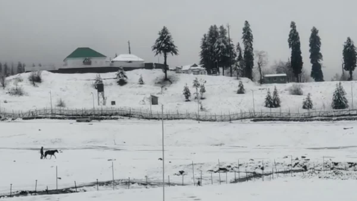 gulmarg-receives-fresh-snowfall, plains receive rains