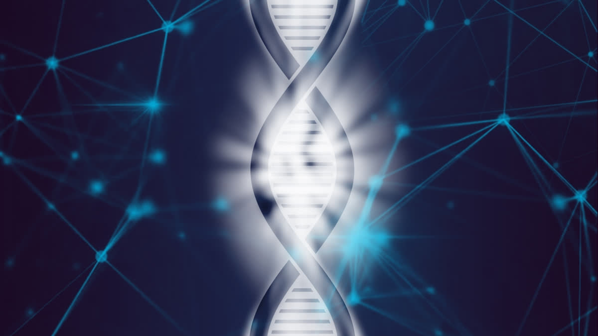 Comparative genomics helps researchers understand human genome better