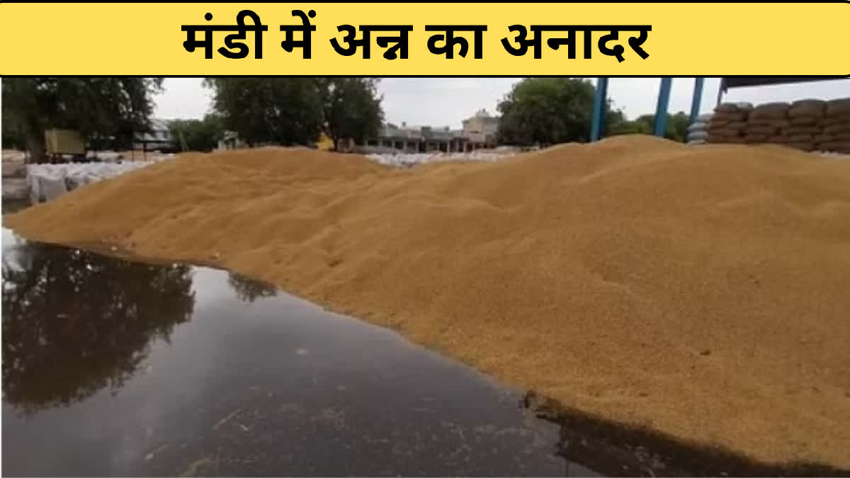 Charkhi Dadri Grain Market