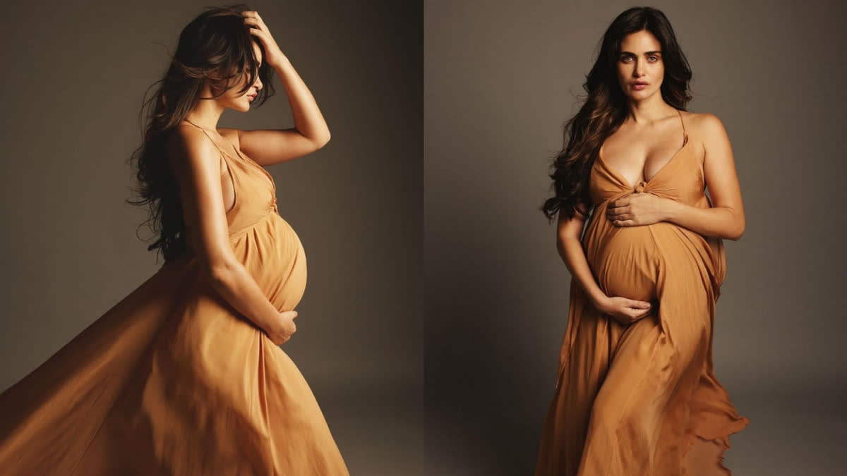 Arjun Rampal's girlfriend Gabriella Demetriades shares pics of second pregnancy