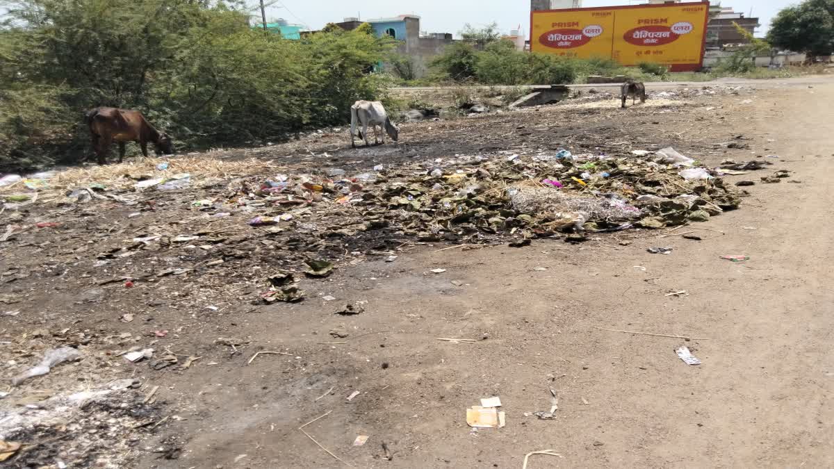 Garbage piled up on the roadside in Naugaon
