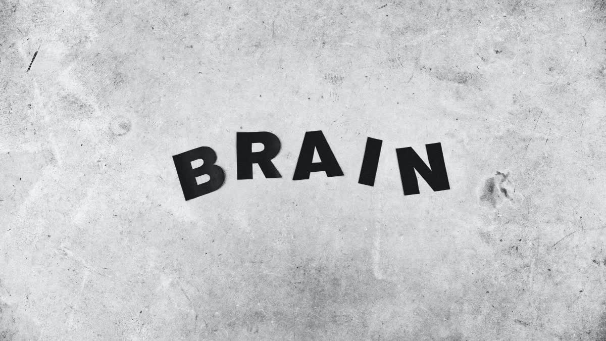 Cognitive flexibility is essential to navigating a changing world-new research in mice shows how your brain learns new rules