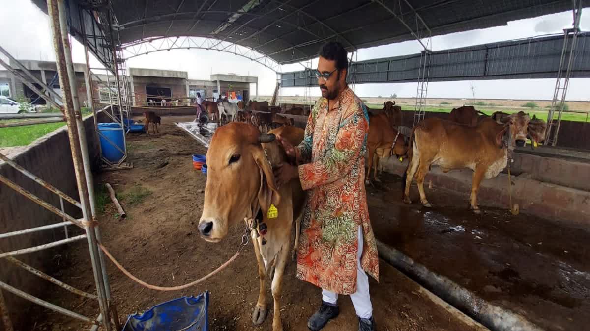 Animal Husbandry : હેમલ જહાંઆરાએ દૂધ વેચી વર્ષે 7 લાખની કમાણી કરી, ફેશન ડિઝાઇનરનો વ્યવસાય ત્યાગી ગૌસેવામાં લાગ્યાં