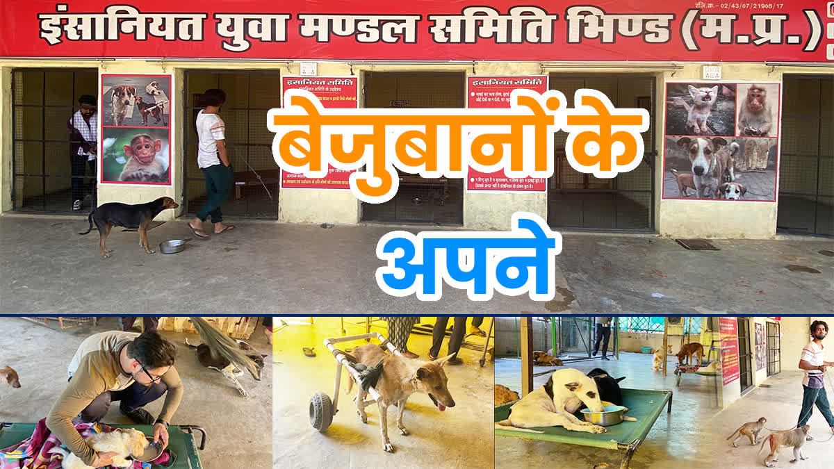 World Veterinary Day