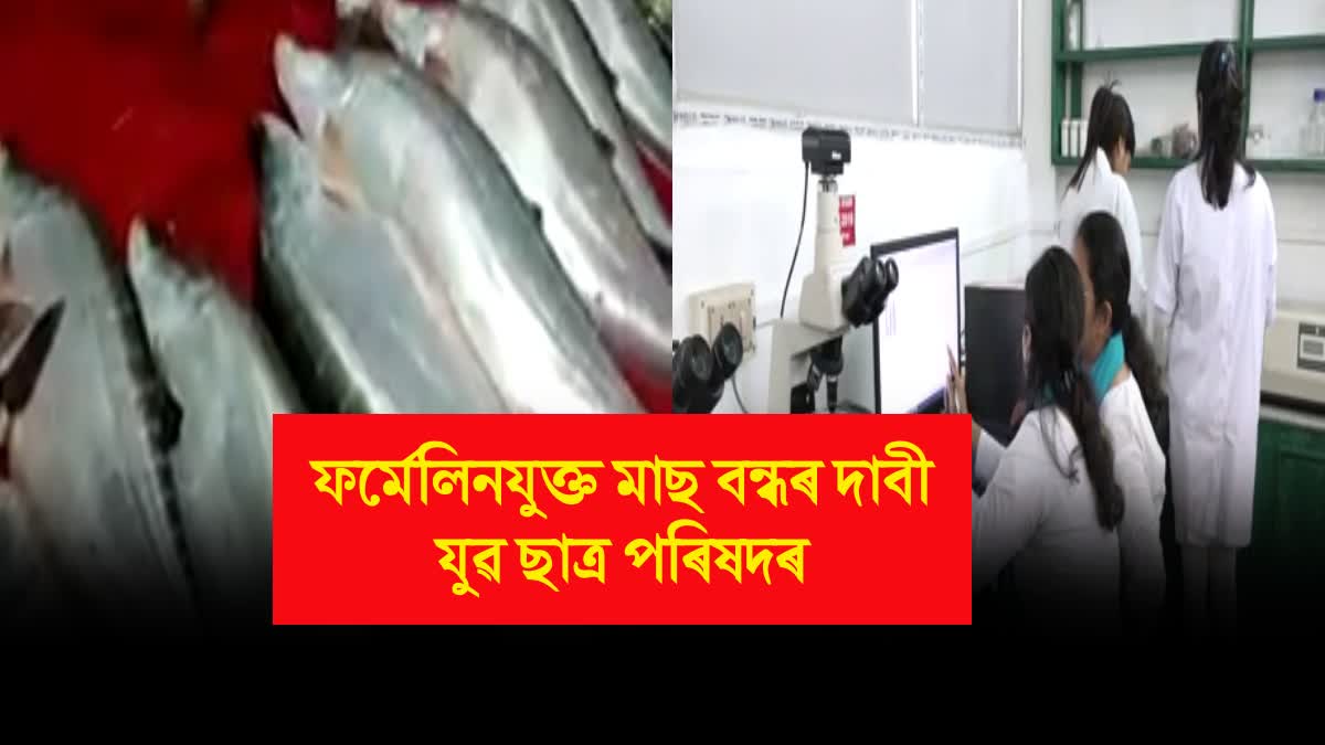 Demanding ban on Formaldehyde fish