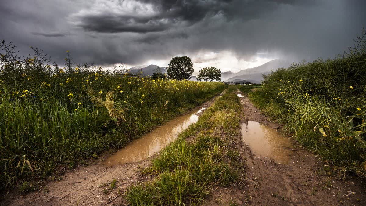 Chhattisgarh Weather