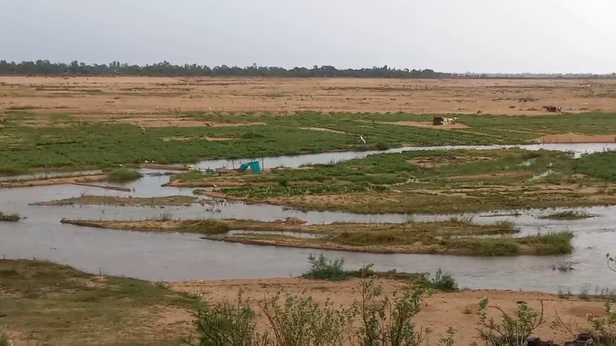 118 sand mines closed in Narmadapuram