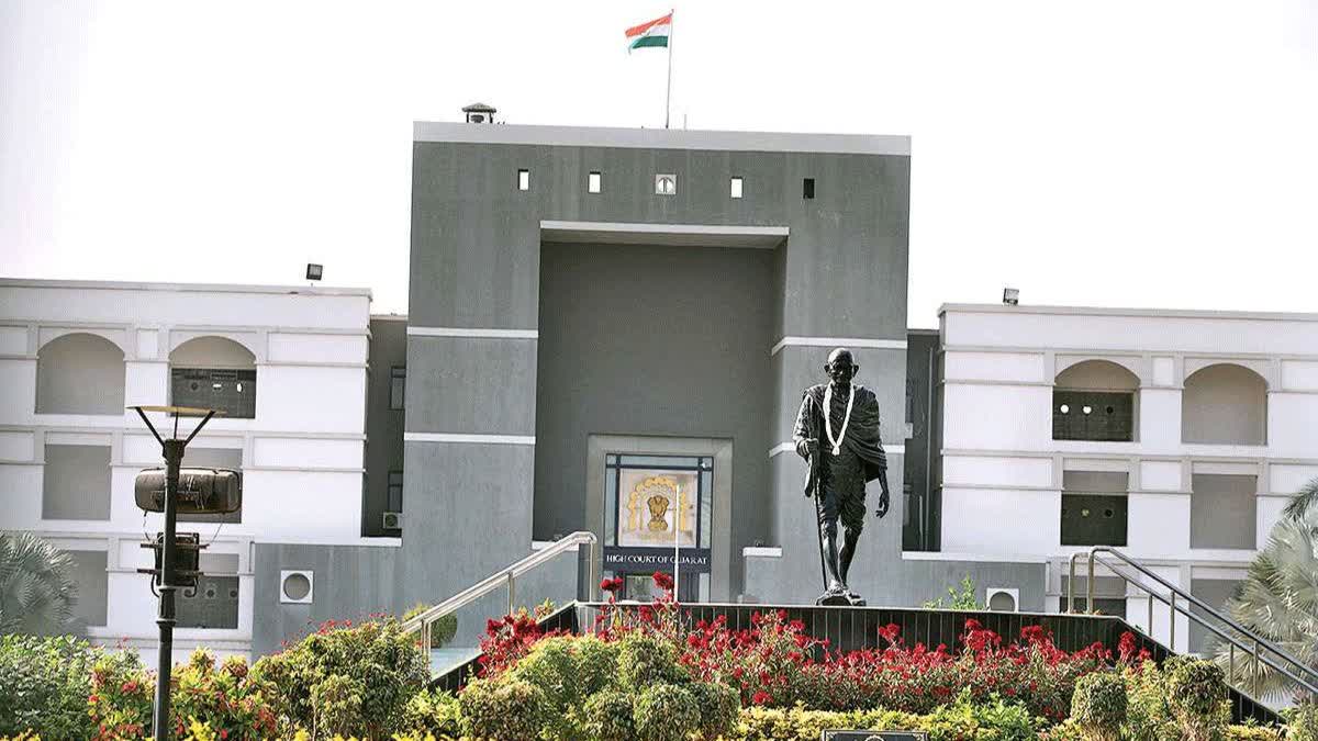 Etv BharatGujarat High Court gives historic verdict allowing Surat rape victim to undergo abortion