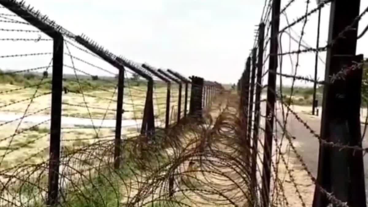 BSF killed Pakistani intruder