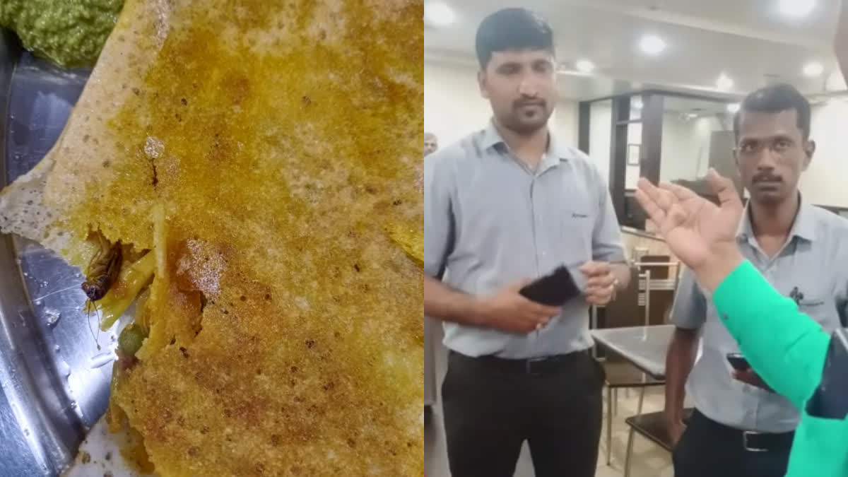 customer was shocked to find a cockroach in the food he bought at a popular restaurant in Coimbatore