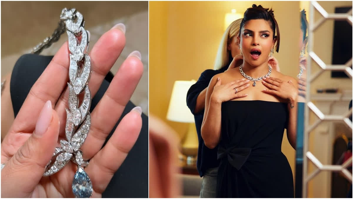 Liked Priyanka Chopra's Met Gala diamond necklace? Here's how much it costs