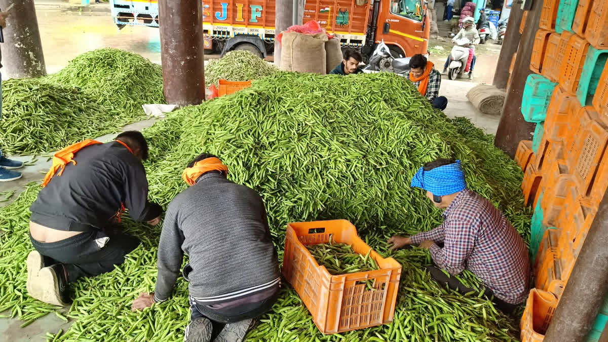 peas price in himachal