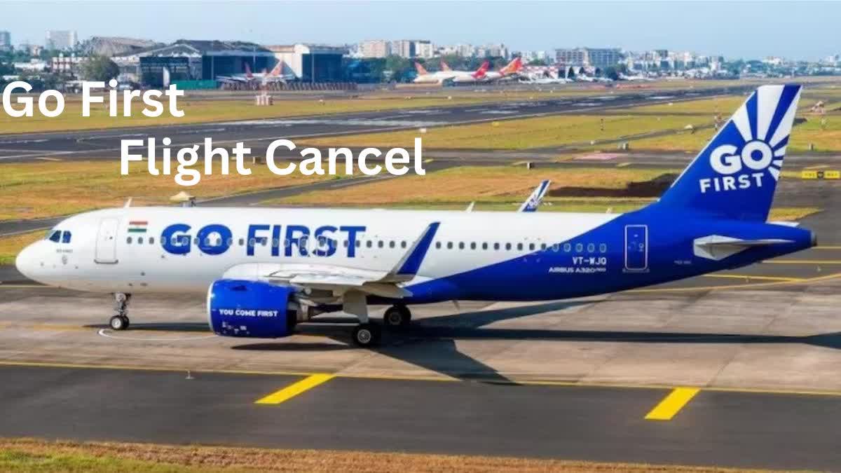 Go First Suspend Flights