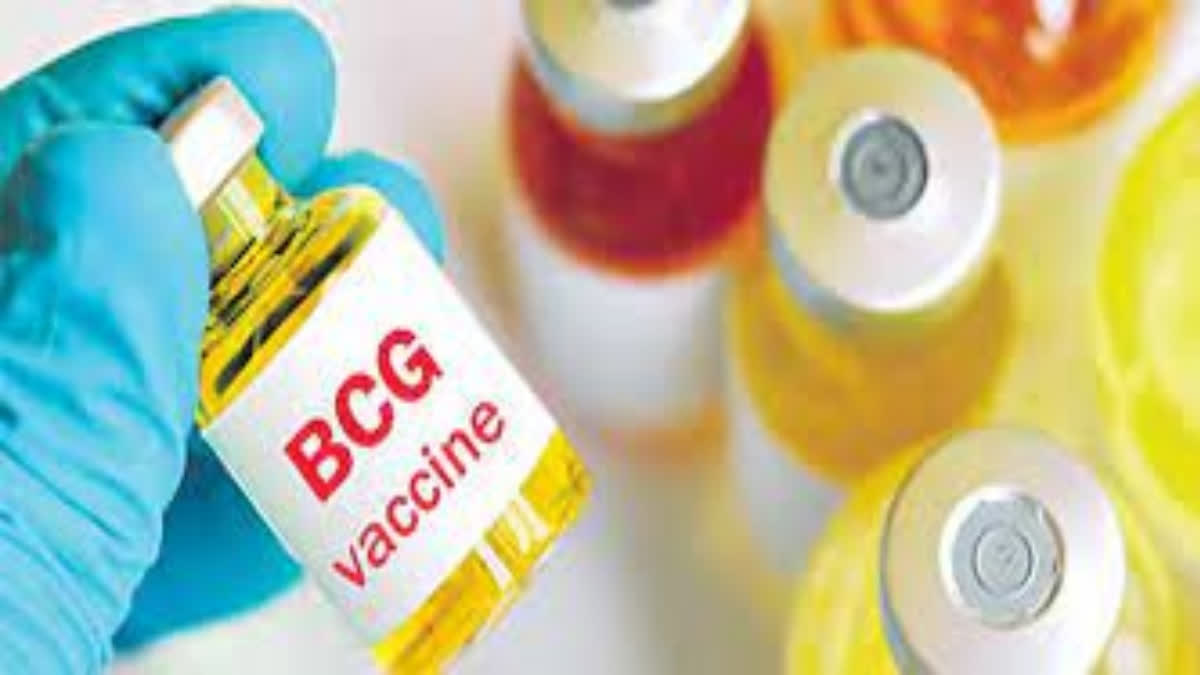Third phase trial for adult anti-TB vaccine, says ICMR