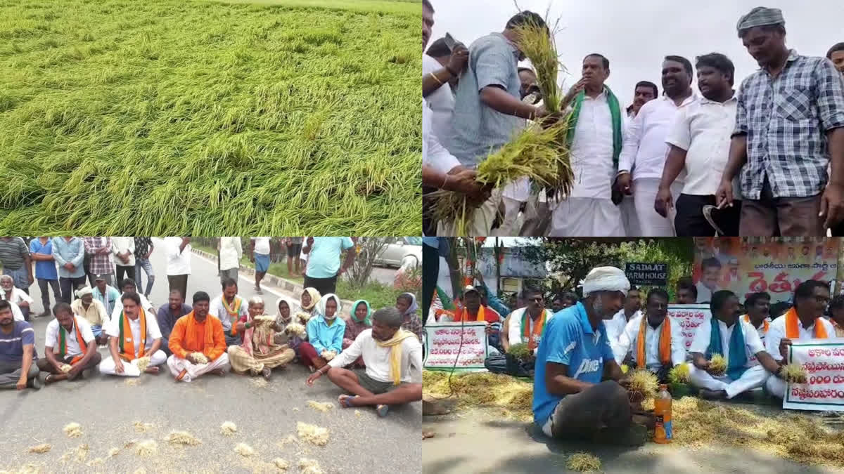 crop damage in telangana state wide