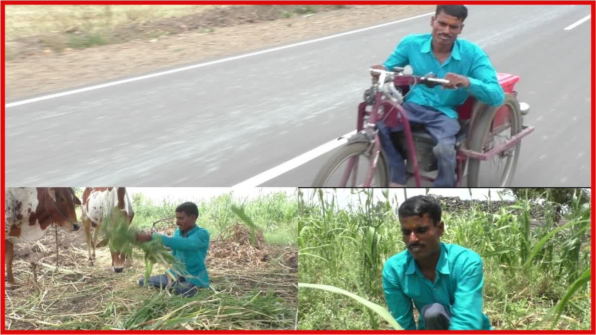 Disabled Farmer Nanded