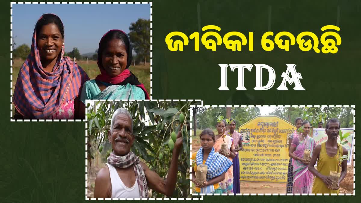 ITDA ପକ୍ଷରୁ ଚାଷୀଙ୍କୁ ମିଳୁଛି ପ୍ରୋତ୍ସାହନ