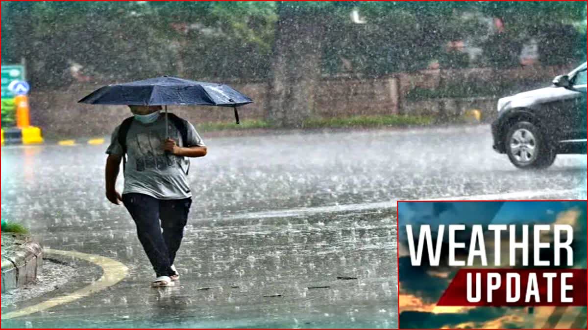 Haryana Rain Forecast