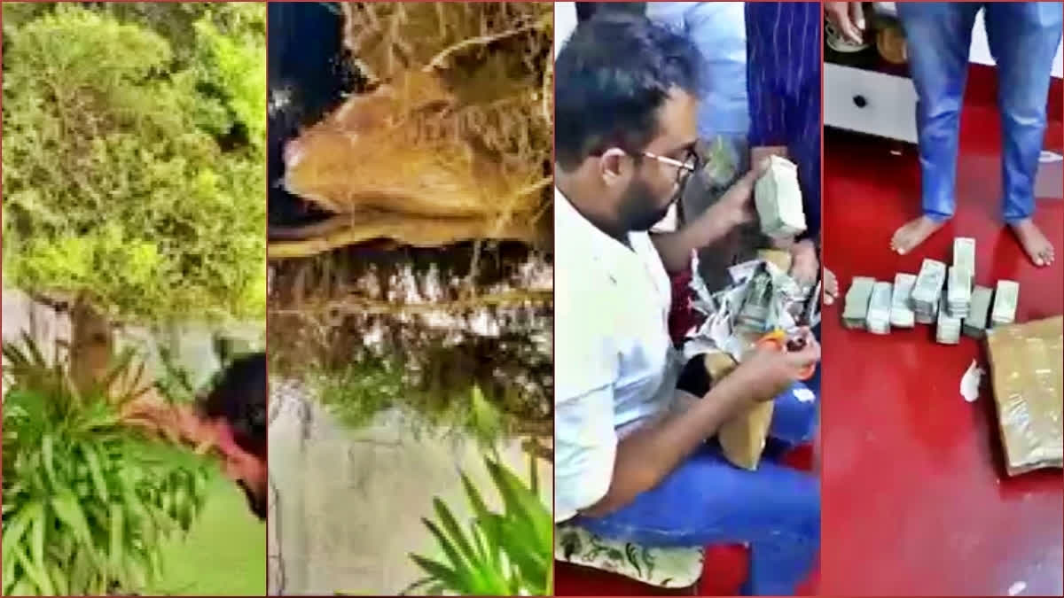 The income tax department has raided the house of K Subramanya Rai, who is said to be the brother of a Puttur Vidhan Sabha constituency candidate, in Mysore. Sources have confirmed that the IT officials have seized the money kept in the fruit boxes inside the decorative plant in front of the house.