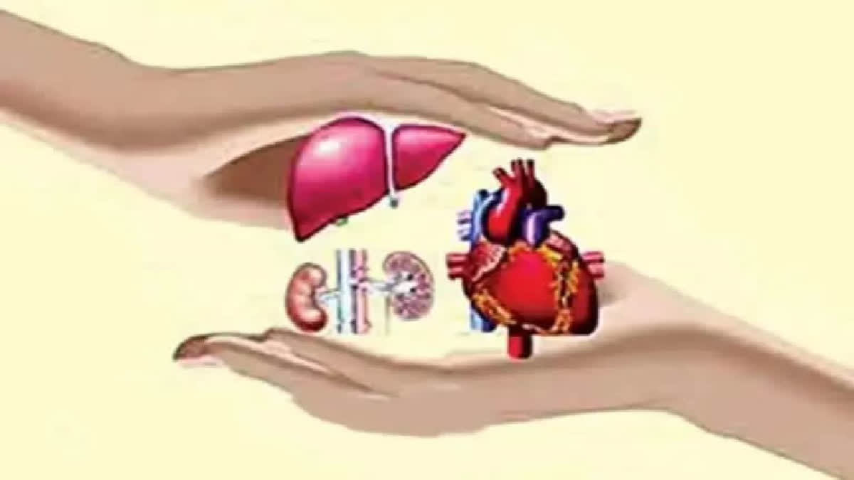 Organ Donation: ఒక తల్లికి బిడ్డగా మరణించినా.. మరో అమ్మ పిలుపులో ...