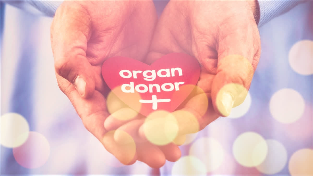 Organ donations tripled in 10 years