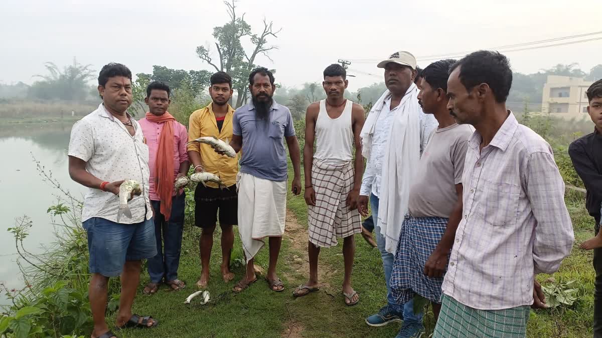 fish death in Bhurkadih pond