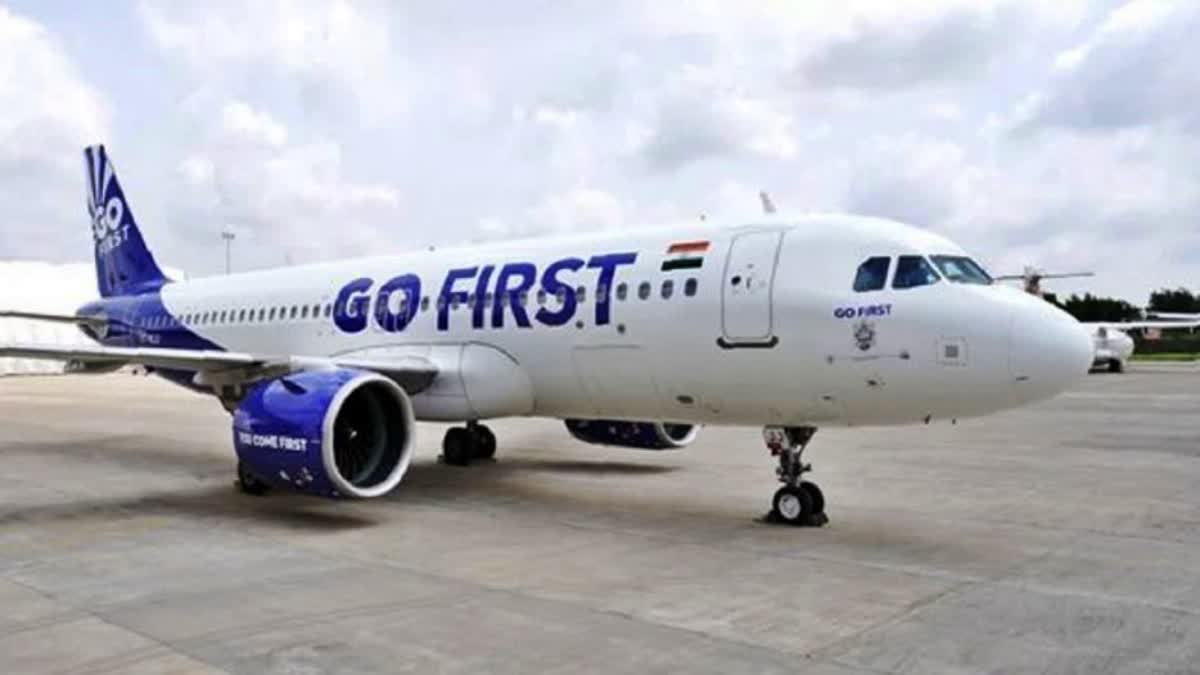 gofirst airways suspends