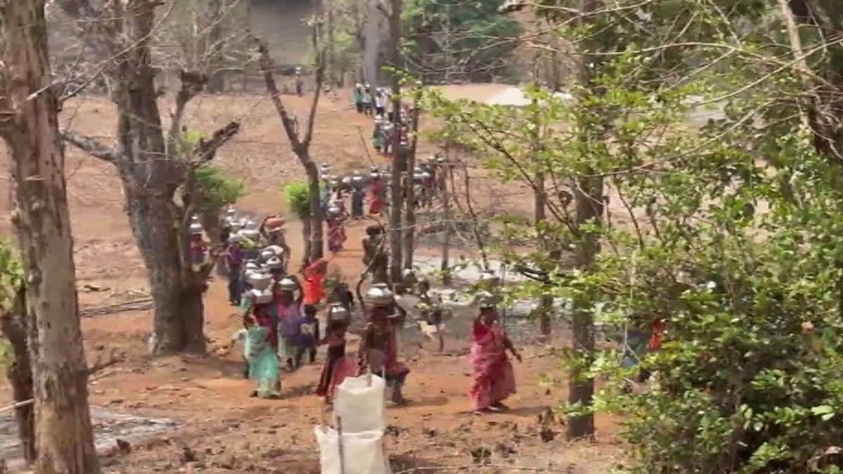 Tribals of Bordhapada village walk 2 km to fetch water