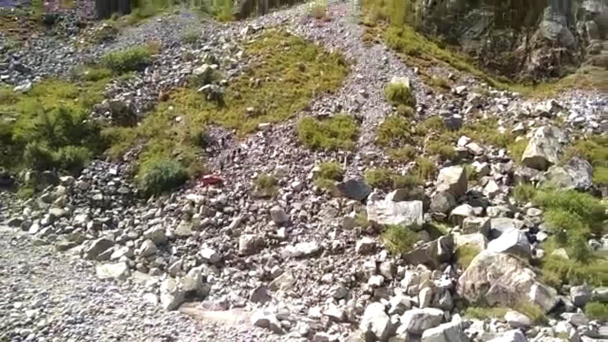 One died in Road Accident in Kinnaur.