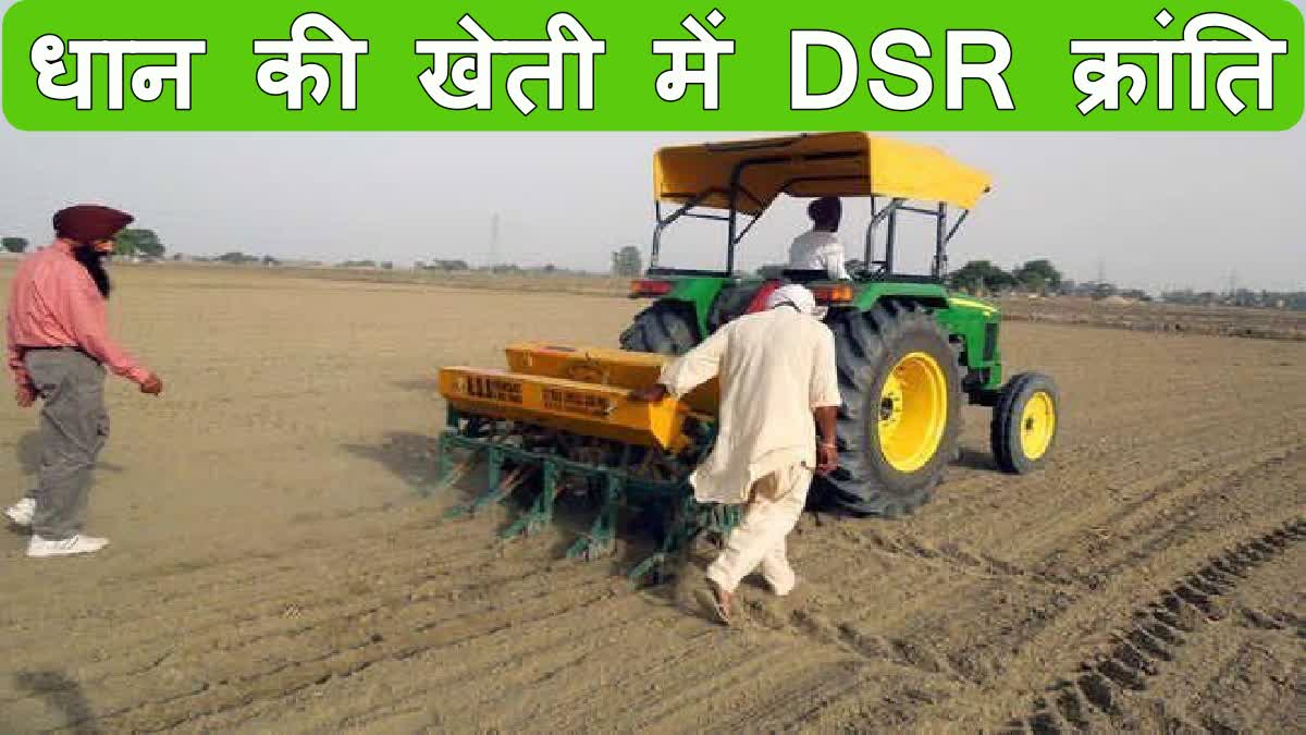 Subsidy on DSR Paddy Cultivation in haryana